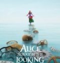 Alice in Wonderland Into the Looking Glass 2016 Indonesia Subtitle