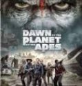 Nonton Dawn of the Planet of the Apes 2014 Indonesia Subtitle