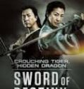 Nonton Crouching Tiger Hidden Dragon Sword of Destiny 2016 Indonesia Subtitle