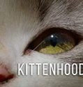 Nonton Kittenhood 2015 Indonesia Subtitle