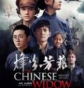 Nonton The Chinese Widow 2018 Indonesia Subtitle