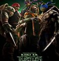 Teenage Mutant Ninja Turtles 2014 Nonton Film Subtitle Indonesia