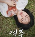 Youngju 2018 Nonton Film Online Subtitle Indonesia