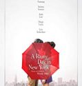 Streaming A Rainy Day in New York 2019 Subtitle Indonesia