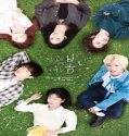 Nonton Drama At a Distance Spring is Green Subtitle Indonesia