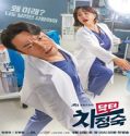 Nonton Drama Doctor Cha 2023 Subtitle Indonesia