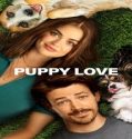 Nonton Movie Puppy Love 2023 Subtitle Indonesia