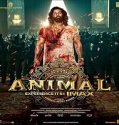 Film India Animal 2023 Subtitle Indonesia
