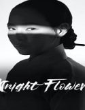 Drama Korea Knight Flower 2024 Subtitle Indonesia